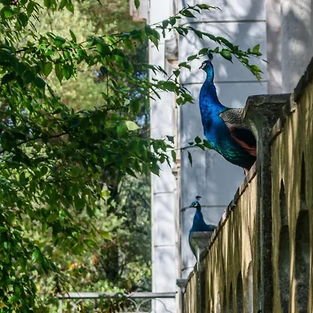 Appartement Casas Da Tapada